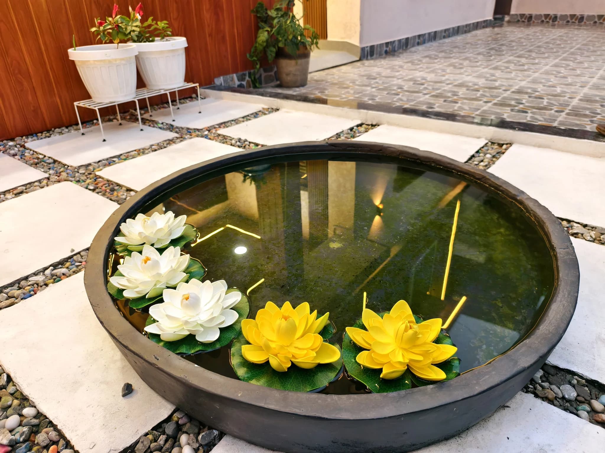 Lotus bowl on the paved zen garden